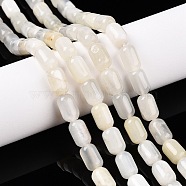 Natural White Moonstone Beads Strands, Column, 9~9.5x6mm, Hole: 0.9~1mm, about 42~43pcs/strand, 15.24~15.8''(38.7~39.5cm)(G-G980-27)