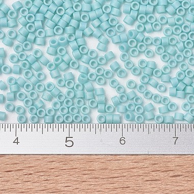 MIYUKI Delica Beads(SEED-X0054-DB1595)-4