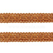 Polyester Trim Sewing Lace, Handmade Sweater Ribbon Trim Decorative Belt Centipede Braided Lace Ribbon Skirt Collar Sleeve Side, Chocolate, 3/8 inch(11mm)(OCOR-FG0001-08B)