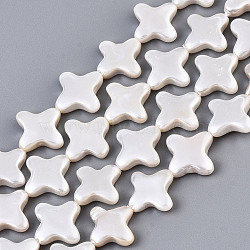 Electroplate Natural Shell Beads Strands, Star, Seashell Color, 12x12.5x3mm, Hole: 0.8mm, about 32pcs/strand, 14.96 inch(38cm)(BSHE-Q034-002D)