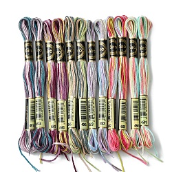 12 Skeins 6 Colors 6-Ply Polyester Embroidery Floss, Cross Stitch Threads, Segment Dyed, Colorful, 0.5mm, about 8.75 Yards(8m)/skein, 2 skeins/color(OCOR-FS0001-01B-03)