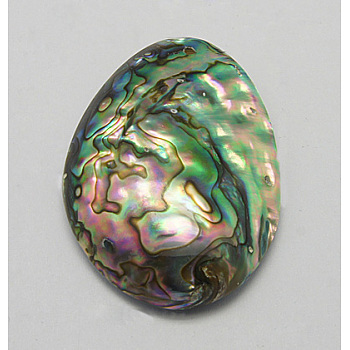 Abalone Shell/Paua Shell Pendants, Single Side, Oval, Colorful, Size: Size: about 34~40mm wide, 49~58mm long, 9.5~15mm thick, hole: 1mm.