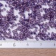 MIYUKI Delica Beads Small(X-SEED-J020-DBS0117)-4