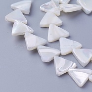 Shell Beads Strands, Triangle, 11.5~12x12.6~13.2x2.5~2.8mm, Hole: 0.8mm, about 34pcs/strand, 15.82 inch(40.2cm)(SSHEL-E571-28A)
