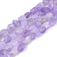 Natural Amethyst Beads Strands, Nuggets, Tumbled Stone, 5~11x5~8x3~6mm, Hole: 0.8mm, about: 52~56pcs/Strand, 15.94 inch(40.5cm)(G-S363-053)