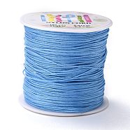 Nylon Thread, Light Sky Blue, 1mm, about 98.43yards/roll(90m/roll)(NWIR-XCP0001-08)