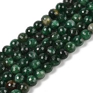 Natural Fuchsite Beads Strands, Faceted(128 Facets), Round, 8mm, Hole: 1mm, about 49pcs/strand, 15.35~15.43''(39~39.2cm)(G-H093-A01-01)