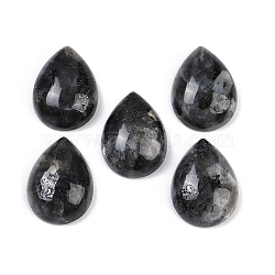 Natural Larvikite Cabochons, Teardrop, 20~20.5x15~15.5x6.5~7mm(G-H094-01A-15)