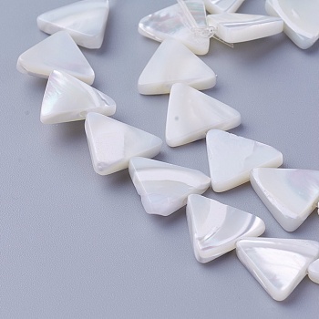 Shell Beads Strands, Triangle, 11.5~12x12.6~13.2x2.5~2.8mm, Hole: 0.8mm, about 34pcs/strand, 15.82 inch(40.2cm)