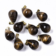 Natural Tiger Eye Pendants, with Golden Plated Brass Snap On Bails, Teardrop, 23~24x15mm, Hole: 7.5x3mm(G-S364-072)