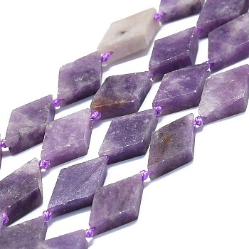 Natural Lepidolite Beads Strands, Rhombus, 20~22x12~13x4~5mm, Hole: 1mm, about 19pcs/strand, 16.73''(42.5cm)