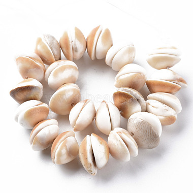 Natural Shell Beads Strands(SSHEL-N034-100)-2