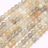 Natural Multi-Moonstonee Beads Strands, Faceted, Round, 3mm, Hole: 0.5mm, about 132pcs/strand, 15.7 inch(40cm)(G-F509-06-3mm)