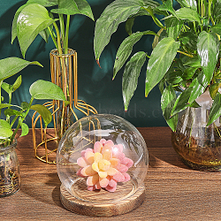 Glass Dome Cover, Decorative Display Case, Cloche Bell Jar Terrarium with Wood Base, Clear, 114x118mm(DJEW-WH0039-70)