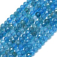 Natural Apatite Beads Strands, Faceted, Round, 2~2.5mm, Hole: 0.5mm, about 192~196pcs/strand, 14.92~15.16 inch(37.9~38.5cm)(G-G106-C06-01)