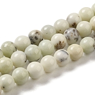 Natural Dendritic Jasper Beads Strands, Round, 6~6.5mm, Hole: 1.2mm, about 63pcs/strand, 15.51''(39.4cm)(G-H298-A15-02)