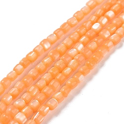 Natural Trochus Shell Beads Strands, Dyed, Column, Sandy Brown, 3.5x3.5mm, Hole: 0.8mm, about 113pcs/strand, 15.59''(39.6cm)(SSHEL-H070-02D)