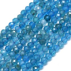 Natural Apatite Beads Strands, Faceted, Round, 2~2.5mm, Hole: 0.5mm, about 192~196pcs/strand, 14.92~15.16 inch(37.9~38.5cm)(G-G106-C06-01)