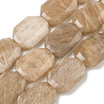 Natural Peach Moonstone Beads Strands, Hexagon, Faceted, 12x17x5mm, Hole: 1mm, about 24pcs/strand, 15.55''(39.5cm)