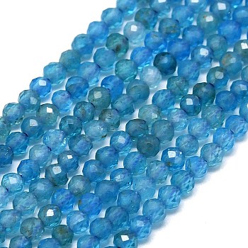 Natural Apatite Beads Strands, Faceted, Round, 2~2.5mm, Hole: 0.5mm, about 192~196pcs/strand, 14.92~15.16 inch(37.9~38.5cm)