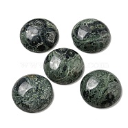 Natural Kambaba Jasper Cabochons, Flat Round, 30x7~8.5mm(G-C115-02B-24)