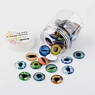 Glass Cabochons, Dragon Eye Printed, Flatback Half Round/Dome, Mixed Color, 25x7mm, about 50pcs/box(GGLA-JP0003-13)