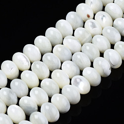 Natural Trochid Shell/Trochus Shell Beads Frames Strands, Rondelle, Bleach, Seashell Color, 7x5mm, Hole: 0.5mm, about 82pcs/strand, 15.94 inch(40.5cm)(SSHEL-S266-028)