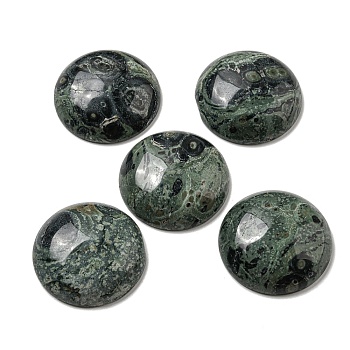 Natural Kambaba Jasper Cabochons, Flat Round, 30x7~8.5mm