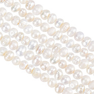 2 Strands Grade AA Natural Cultured Freshwater Pearl Beads Strands, Potato, Beige, 5~6x4~5mm, Hole: 0.8mm, about 84pcs/strand, 13.5 inch(34.2cm)(PEAR-GO0001-11)