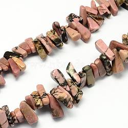 Natural Rhodonite Stone Bead Strands, Chip, 12~20x6~10x3~10mm, Hole: 1mm, about 104pcs/strand, 15.7 inch(X-G-R191-07)
