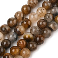 Natural Yellow Tiger Eye Beads Strands, Grade B, Round, 6mm, Hole: 1mm, about 65~70pcs/strand, 14.76~15.75 inch(37.5~40.5cm)(G-H238-6mm)