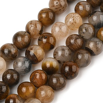 Natural Yellow Tiger Eye Beads Strands, Grade B, Round, 6mm, Hole: 1mm, about 65~70pcs/strand, 14.76~15.75 inch(37.5~40.5cm)