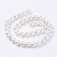 Shell Pearl Beads Strands(BSHE-L035-6mm-I13)-2