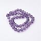 Purple Color Faceted Bicone Glass Beads Strands(X-GLAA-S026-6mm-03)-2