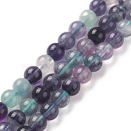Natural Fluorite Beads Strands, Round, 8mm, Hole: 1mm, about 50pcs/strand, 15.16''(38.5cm)(G-B038-C02)