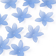 Transparent Acrylic Beads, Frosted, Flower, Cornflower Blue, 26x27x6mm, Hole: 1.8mm, about 980pcs/500g(MACR-S373-127-D04)