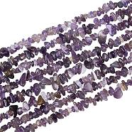 Natural Amethyst Chip Beads Strands, Dyed, 5~8x5~8mm, Hole: 1mm, about 31.5 inch, 4strand/box(G-AR0002-79)