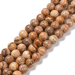 Natural Picture Jasper Beads Strands, Faceted(128 Facets), Round, 8.5mm, Hole: 1.2mm, about 44pcs/strand, 14.76''(37.5cm)(G-E571-28B)