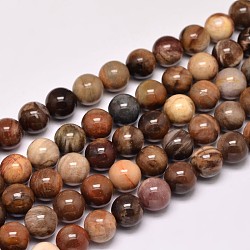 Natural Petrified Wood Round Bead Strands, 8mm, Hole: 1mm, about 47pcs/strand, 15 inch(G-F266-08-8mm)