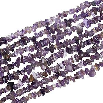 Natural Amethyst Chip Beads Strands, Dyed, 5~8x5~8mm, Hole: 1mm, about 31.5 inch, 4strand/box