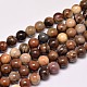 Natural Petrified Wood Round Bead Strands(G-F266-08-8mm)-1