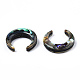 Natural Abalone Shell/Paua Shell Beads(SSHEL-N034-122A-01)-3