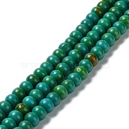 Natural Howlite Beads Strands, Dyed, Barrel, 7.5~8x5.5~6mm, Hole: 1.4mm, about 67pcs/strand, 15.51~15.59''(39.4~39.6cm)(G-E604-F02-B)