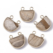 Natural Picture Jasper Semi Circle Pendants, with Golden Tone Brass Open Back Bezel, Faceted, Half Round, 18x17.5x6.5mm, Hole: 2mm(G-S359-011E)