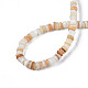 Natural Freshwater Shell Beads Strands(SHEL-S278-067)-5