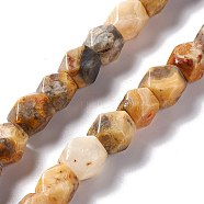 Natural Crazy Lace Agate Beads Strands, Faceted, Rhombus, 10~12x8~10x8~10mm, Hole: 1.2mm, about 34pcs/strand, 15.71''~15.98''(39.9~40.6cm)(G-L235B-12)