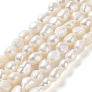 Natural Cultured Freshwater Pearl Beads Strands, Two Side Polished, Grade 3A+, Seashell Color, 8.5~10x8~9x7~9mm, Hole: 0.7mm, about 37~38pcs/strand, 13.58''(34.5~36cm)(PEAR-Z002-01)