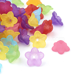 Transparent Acrylic Beads, Flower, Frosted, Mixed Color, 13x7mm, Hole: 1mm(X-PL560M)