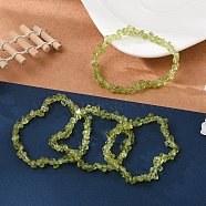 Unisex Chip Natural Peridot Beaded Stretch Bracelets, Inner Diameter: 1-3/4~2 inch(4.5~5cm)(BJEW-S143-51)