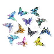 Translucent Resin Cabochons, Butterfly, Mixed Color, 9.5x11x3mm(RESI-E039-05)